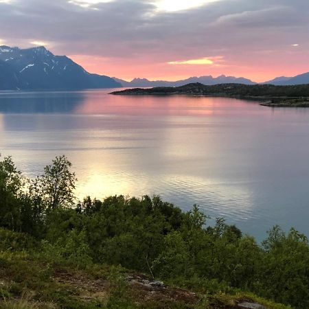 Aaroybukt Guesthouse Aroybukta Dış mekan fotoğraf