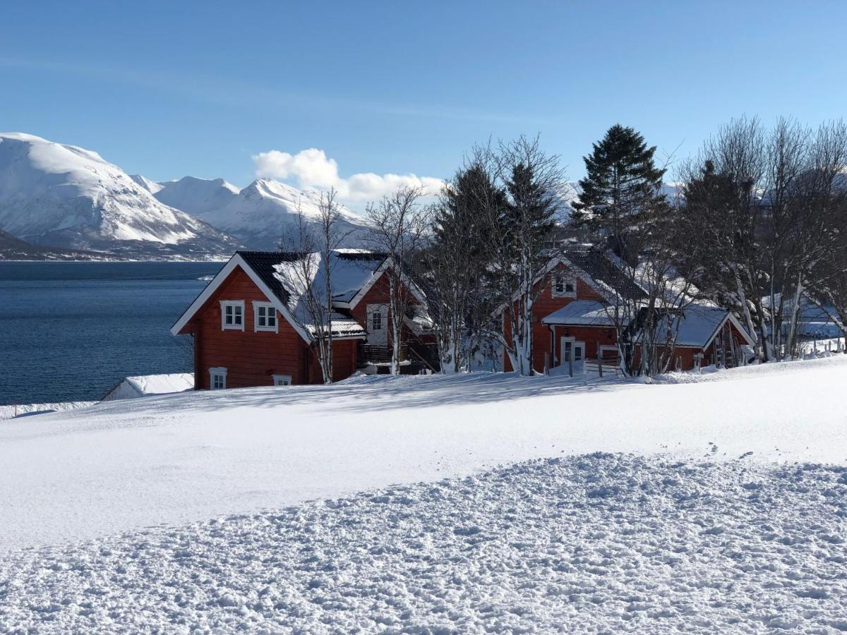 Aaroybukt Guesthouse Aroybukta Dış mekan fotoğraf